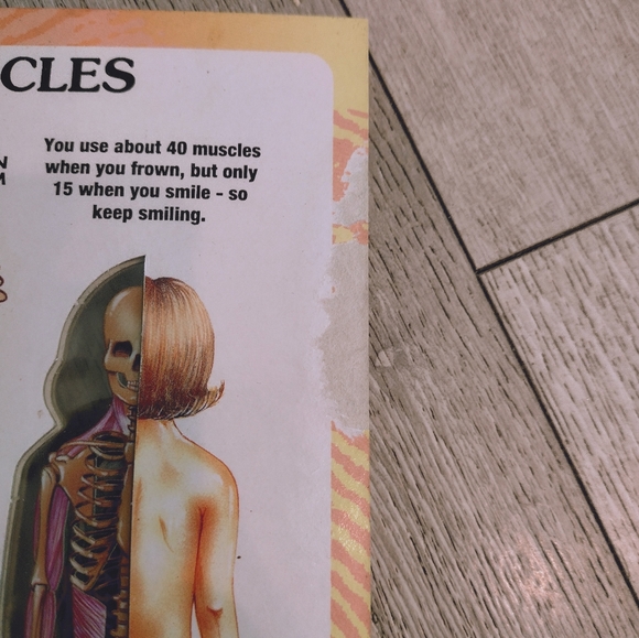 Books - Picture 5 of 6